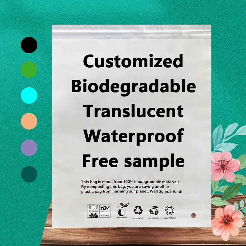 Zeal X ເປີດຕົວຖົງ PLA PBAT ທີ່ມີປະສິດຕິພາບສູງທີ່ສາມາດຍ່ອຍສະຫຼາຍໄດ້ສໍາລັບການແກ້ໄຂການຫຸ້ມຫໍ່ແບບຍືນຍົງທົ່ວໂລກ